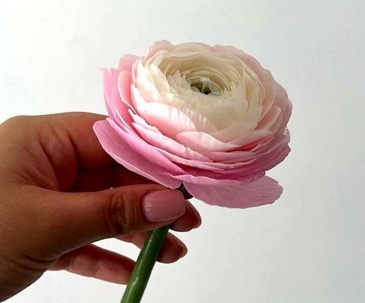 پارافین شمع